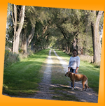 Moo Lulu Columbus Park St. Clair County Michigan 2008